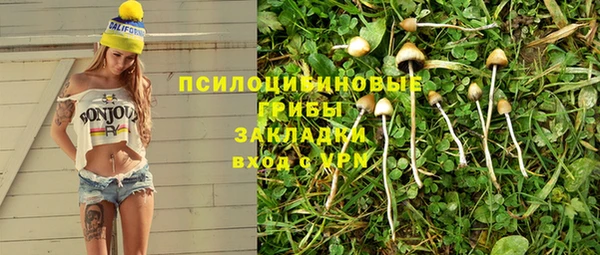 винт Болхов