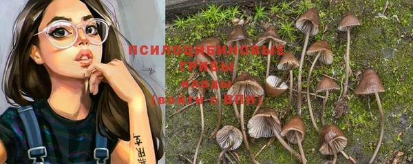 прущая мука Лиски