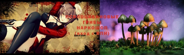 прущая мука Лиски