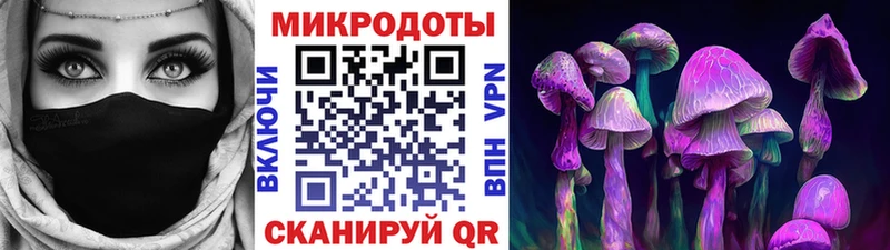 Галлюциногенные грибы мухоморы  Купить закладки  Енисейск 